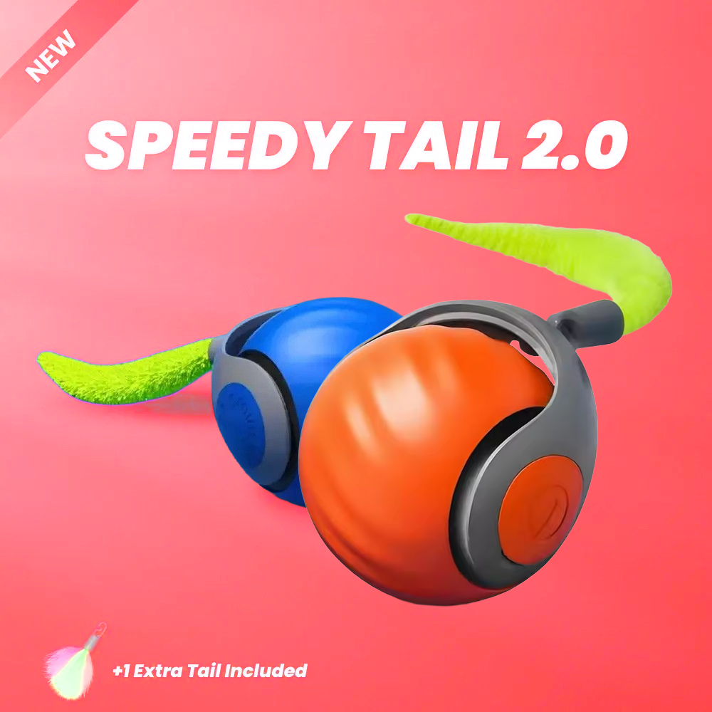 Speedy Tail 2.0