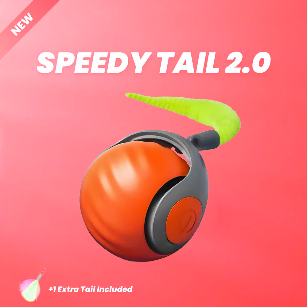 Speedy Tail 2.0